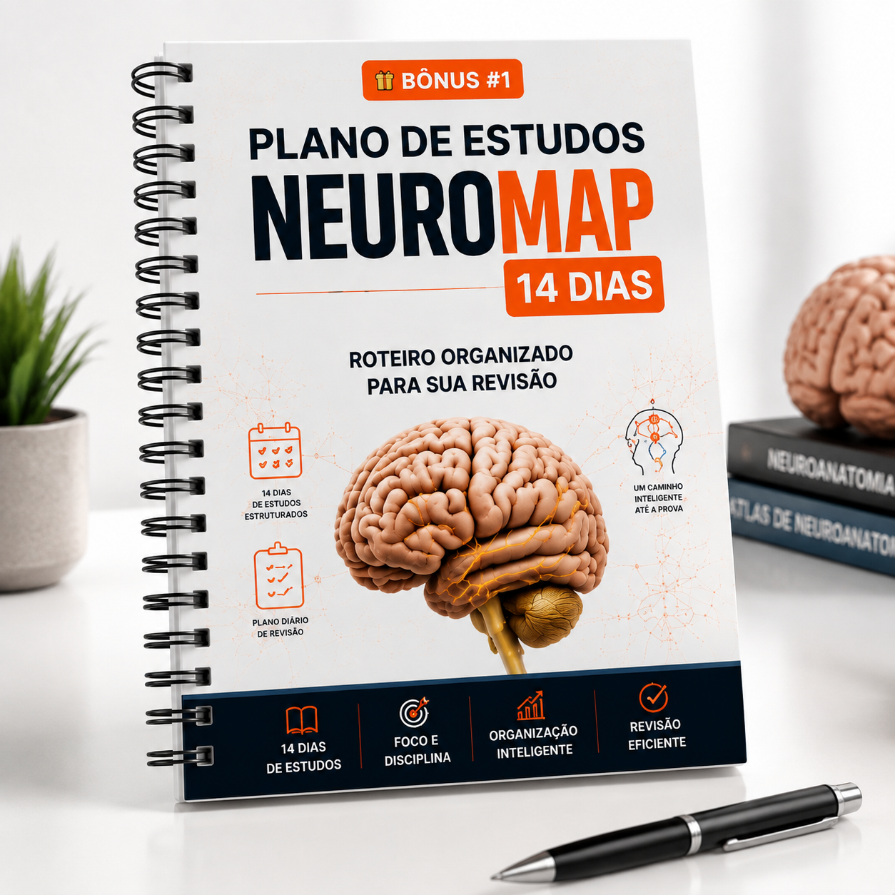 Plano de Estudos 14 Dias